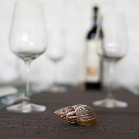 Saluti Near Old Town With Sea View&parking *